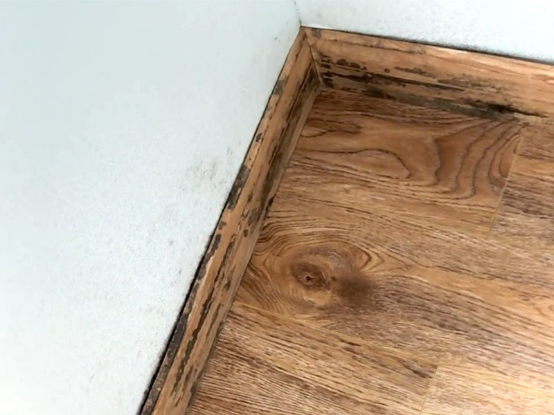 Как удалить плесень с плинтусов?