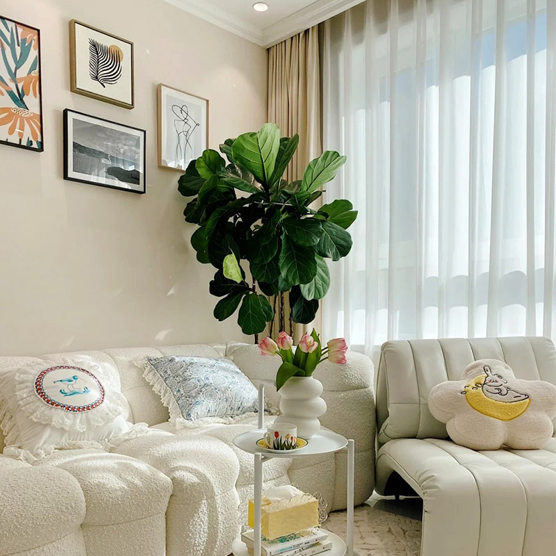 Каковы преимущества и недостатки диатомовой грязи?