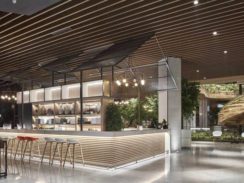 Комплексное руководство по потолочным перегородкам