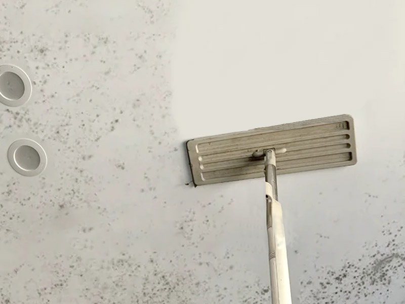 Как избавиться от плесени на потолке в ванной?